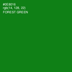 #0E8016 - Forest Green Color Image